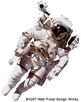 Web Portal Traveler